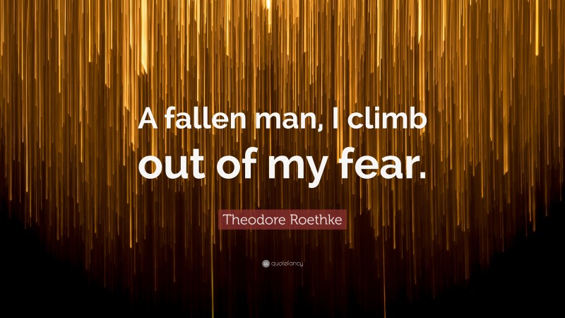 Theodore Roethke Quote: “A fallen man, I climb out of my fear.”