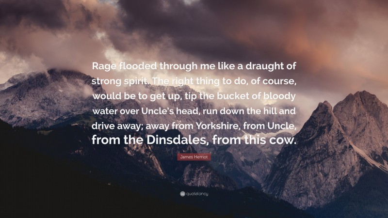 James Herriot Quote: “Rage flooded through me like a draught of strong spirit. The right thing to do, of course, would be to get up, tip the bucket of bloody water over Uncle’s head, run down the hill and drive away; away from Yorkshire, from Uncle, from the Dinsdales, from this cow.”