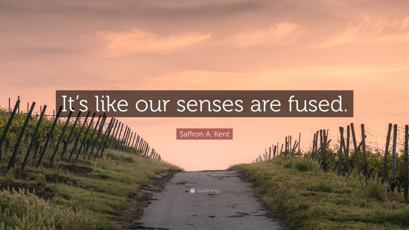 Saffron A. Kent Quote: “It’s like our senses are fused.”