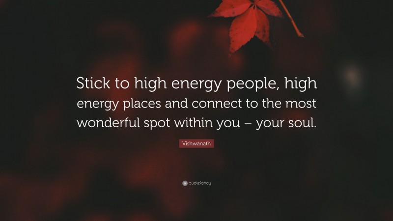 Vishwanath Quote: “Stick to high energy people, high energy places and connect to the most wonderful spot within you – your soul.”