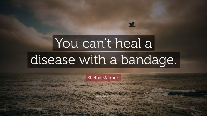 Shelby Mahurin Quote: “You can’t heal a disease with a bandage.”