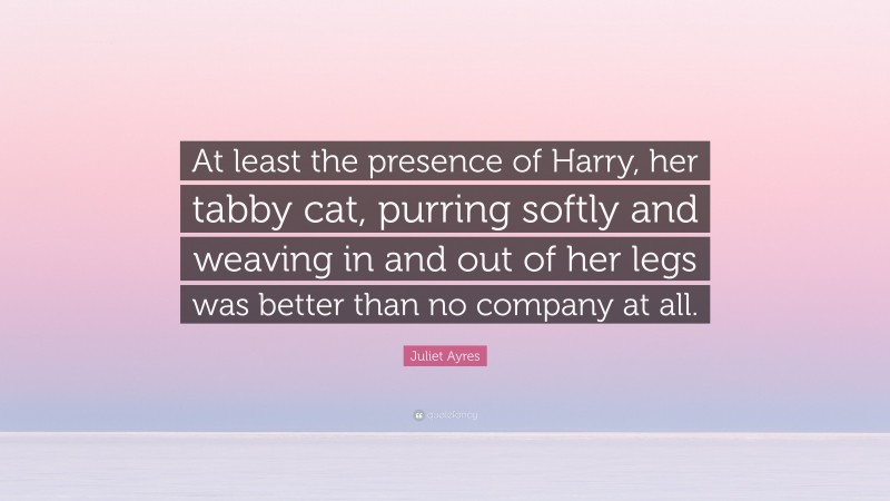 Juliet Ayres Quote: “At least the presence of Harry, her tabby cat, purring softly and weaving in and out of her legs was better than no company at all.”