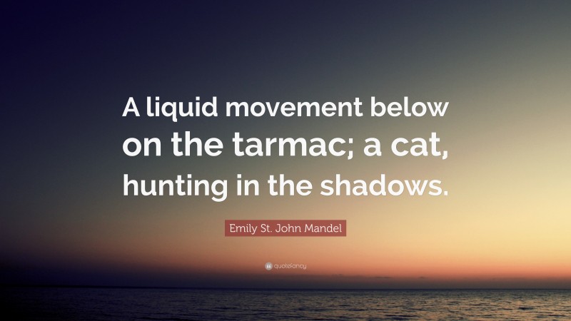 Emily St. John Mandel Quote: “A liquid movement below on the tarmac; a cat, hunting in the shadows.”