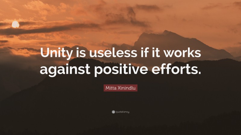 Mitta Xinindlu Quote: “Unity is useless if it works against positive efforts.”