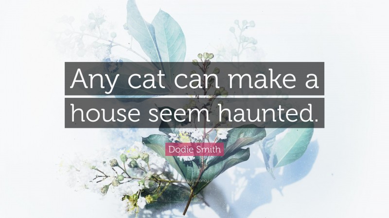 Dodie Smith Quote: “Any cat can make a house seem haunted.”