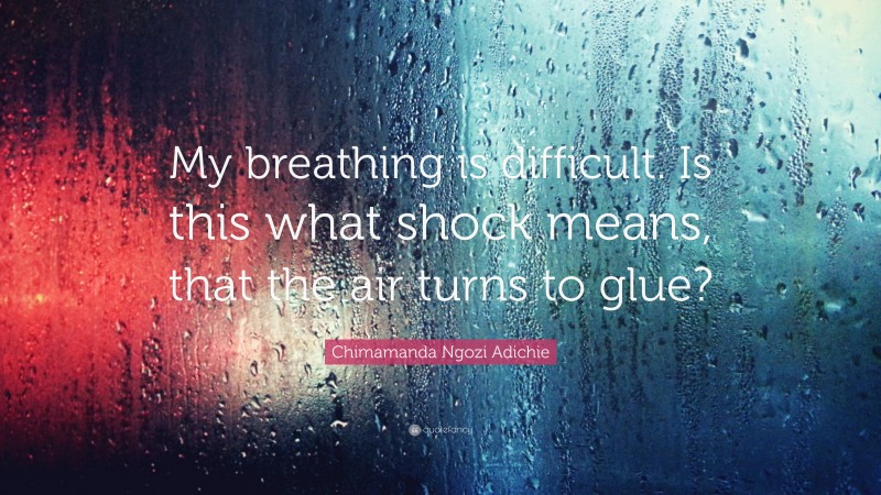 Chimamanda Ngozi Adichie Quote: “My breathing is difficult. Is this what shock means, that the air turns to glue?”