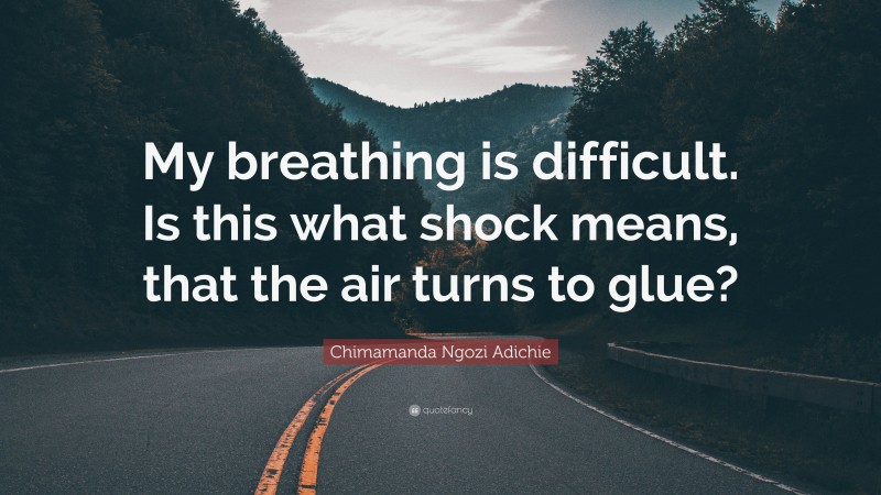 Chimamanda Ngozi Adichie Quote: “My breathing is difficult. Is this what shock means, that the air turns to glue?”