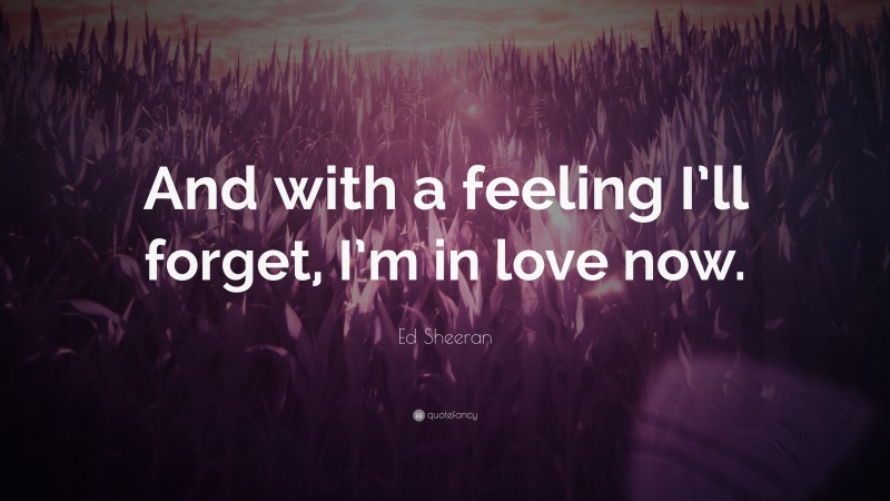 Ed Sheeran Quote: “And with a feeling I’ll forget, I’m in love now.”
