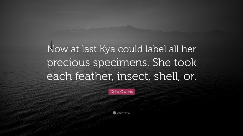 Delia Owens Quote: “Now at last Kya could label all her precious specimens. She took each feather, insect, shell, or.”
