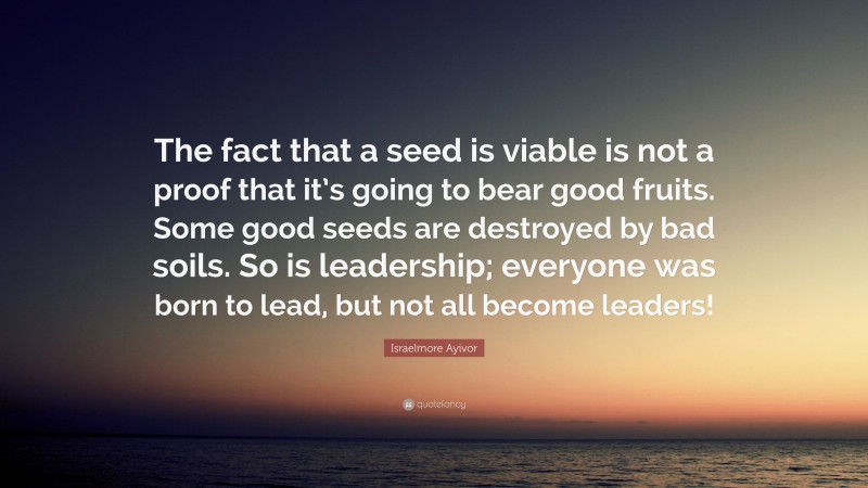Israelmore Ayivor Quote: “The fact that a seed is viable is not a proof that it’s going to bear good fruits. Some good seeds are destroyed by bad soils. So is leadership; everyone was born to lead, but not all become leaders!”