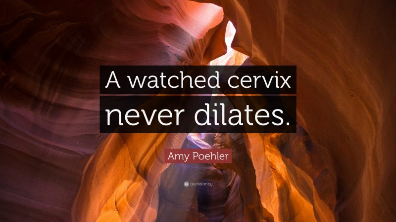 Amy Poehler Quote: “A watched cervix never dilates.”