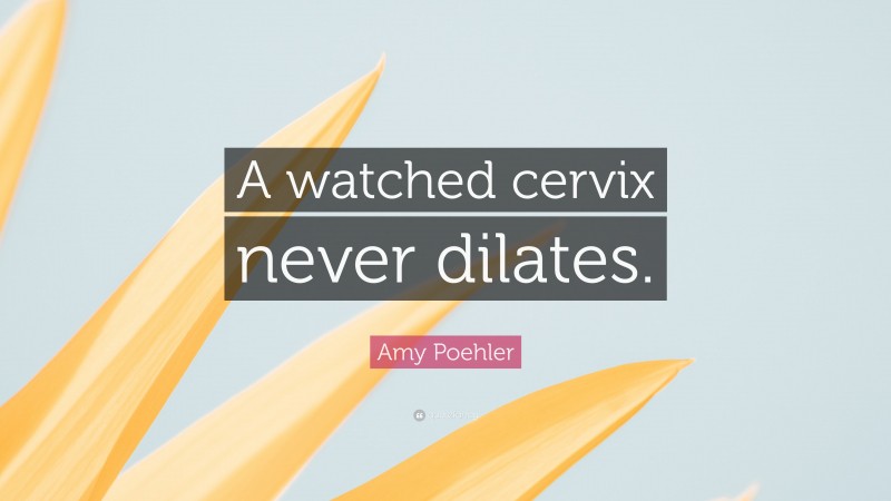 Amy Poehler Quote: “A watched cervix never dilates.”