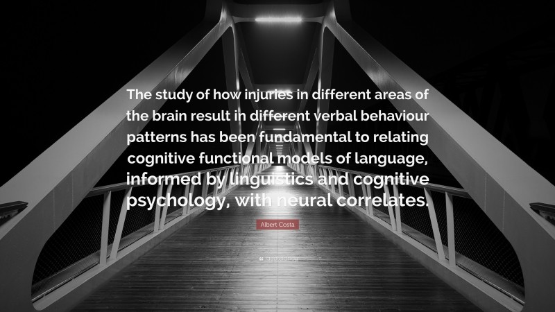 Albert Costa Quote: “The study of how injuries in different areas of the brain result in different verbal behaviour patterns has been fundamental to relating cognitive functional models of language, informed by linguistics and cognitive psychology, with neural correlates.”