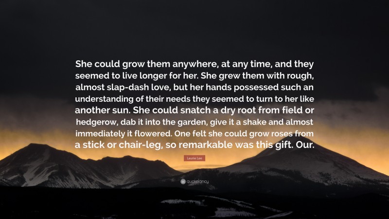 Laurie Lee Quote: “She could grow them anywhere, at any time, and they seemed to live longer for her. She grew them with rough, almost slap-dash love, but her hands possessed such an understanding of their needs they seemed to turn to her like another sun. She could snatch a dry root from field or hedgerow, dab it into the garden, give it a shake and almost immediately it flowered. One felt she could grow roses from a stick or chair-leg, so remarkable was this gift. Our.”