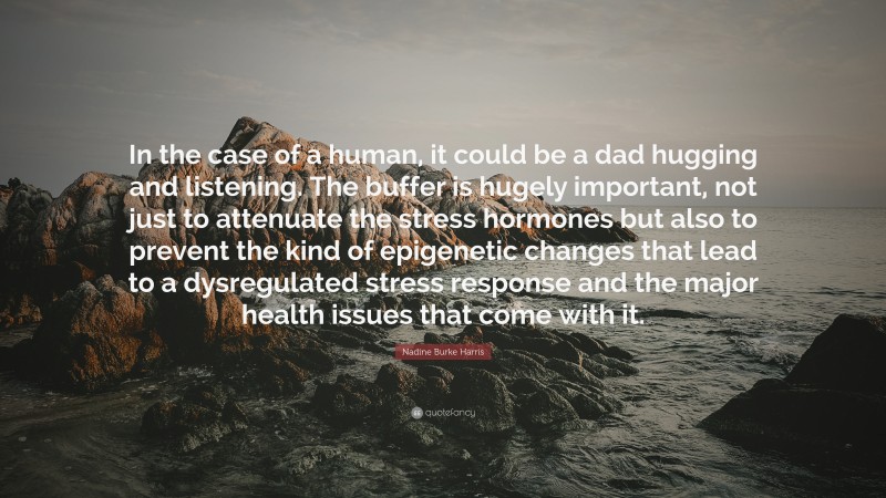 Nadine Burke Harris Quote: “In the case of a human, it could be a dad hugging and listening. The buffer is hugely important, not just to attenuate the stress hormones but also to prevent the kind of epigenetic changes that lead to a dysregulated stress response and the major health issues that come with it.”