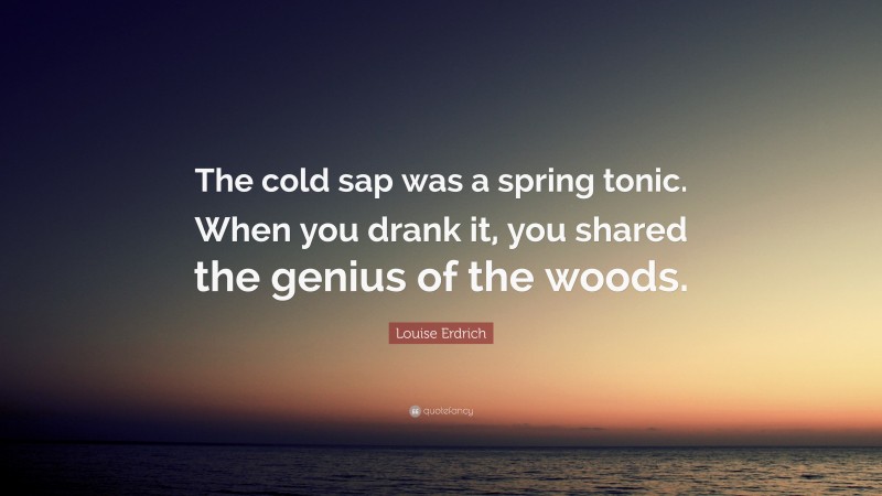 Louise Erdrich Quote: “The cold sap was a spring tonic. When you drank it, you shared the genius of the woods.”