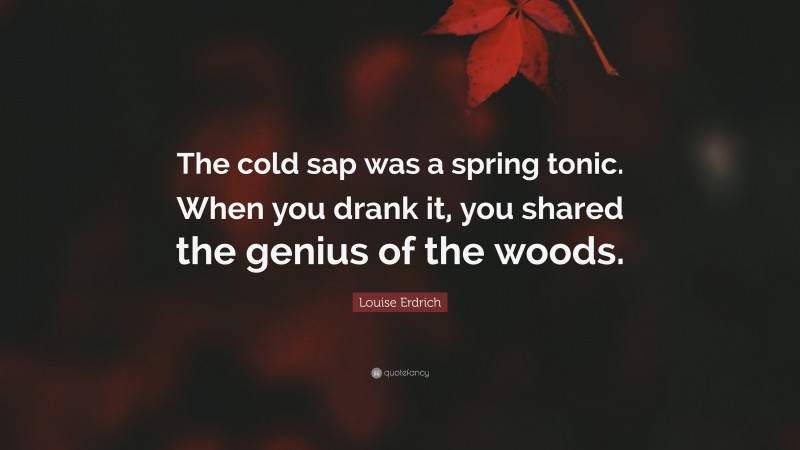 Louise Erdrich Quote: “The cold sap was a spring tonic. When you drank it, you shared the genius of the woods.”