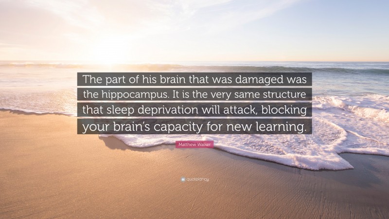 Matthew Walker Quote: “The part of his brain that was damaged was the hippocampus. It is the very same structure that sleep deprivation will attack, blocking your brain’s capacity for new learning.”
