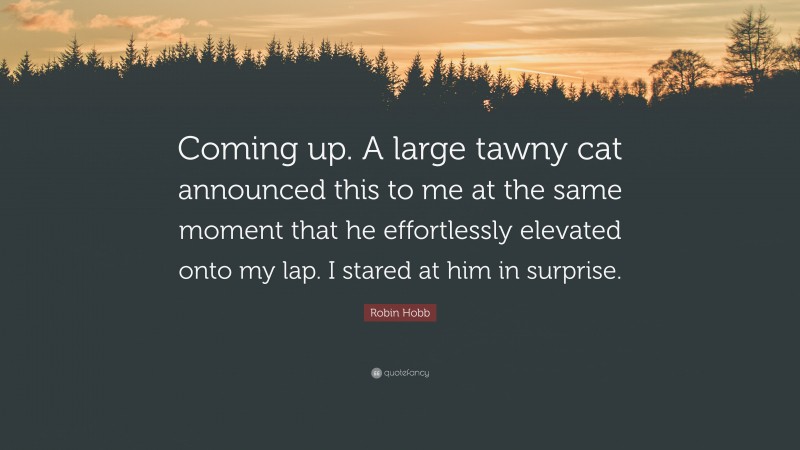 Robin Hobb Quote: “Coming up. A large tawny cat announced this to me at the same moment that he effortlessly elevated onto my lap. I stared at him in surprise.”