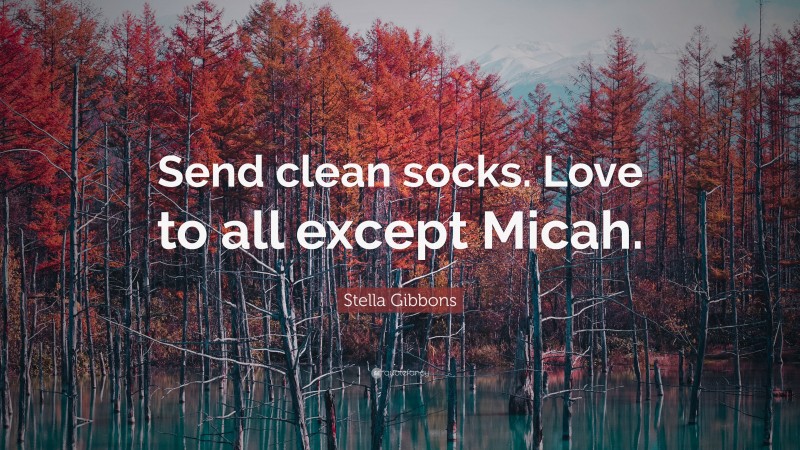 Stella Gibbons Quote: “Send clean socks. Love to all except Micah.”