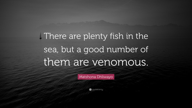 Matshona Dhliwayo Quote: “There are plenty fish in the sea, but a good number of them are venomous.”
