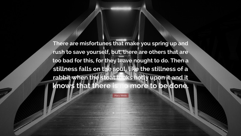 Mary Webb Quote: “There are misfortunes that make you spring up and rush to save yourself, but, there are others that are too bad for this, for they leave nought to do. Then a stillness falls on the soul, like the stillness of a rabbit when the stoat looks hotly upon it and it knows that there is no more to be done.”