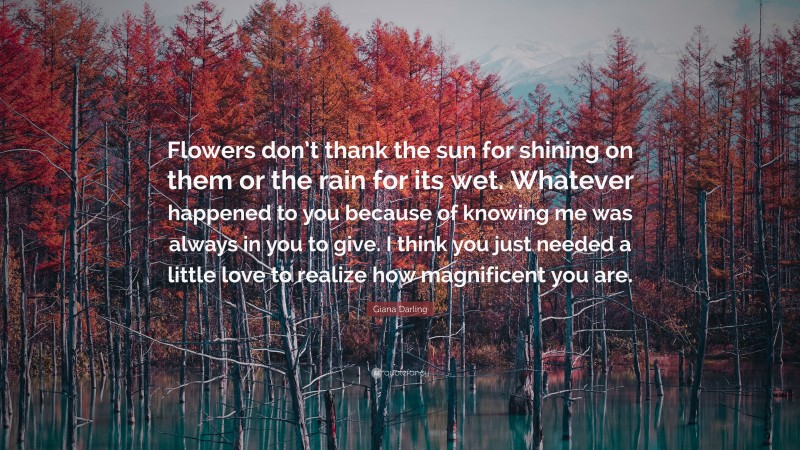 Giana Darling Quote: “Flowers don’t thank the sun for shining on them or the rain for its wet. Whatever happened to you because of knowing me was always in you to give. I think you just needed a little love to realize how magnificent you are.”