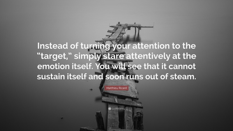 Matthieu Ricard Quote: “Instead of turning your attention to the “target,” simply stare attentively at the emotion itself. You will see that it cannot sustain itself and soon runs out of steam.”