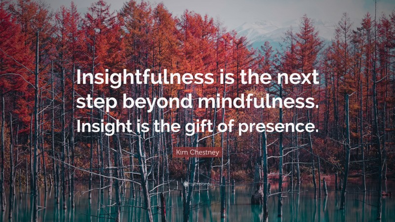 Kim Chestney Quote: “Insightfulness is the next step beyond mindfulness. Insight is the gift of presence.”