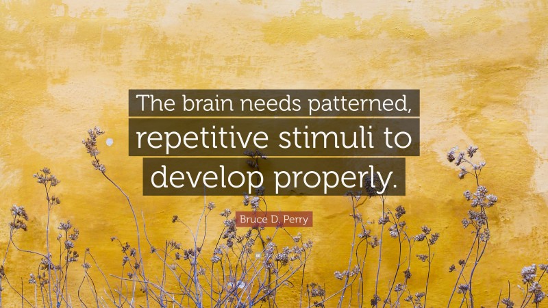 Bruce D. Perry Quote: “The brain needs patterned, repetitive stimuli to develop properly.”