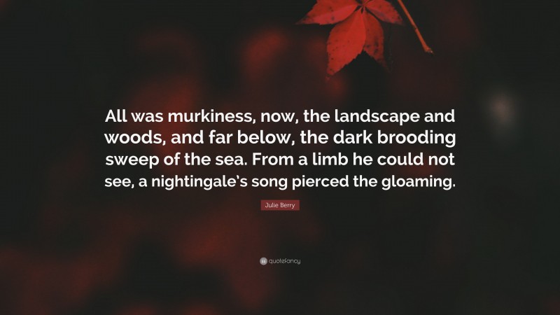 Julie Berry Quote: “All was murkiness, now, the landscape and woods, and far below, the dark brooding sweep of the sea. From a limb he could not see, a nightingale’s song pierced the gloaming.”