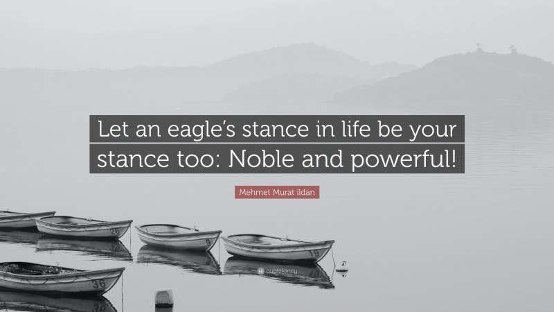 Mehmet Murat ildan Quote: “Let an eagle’s stance in life be your stance too: Noble and powerful!”