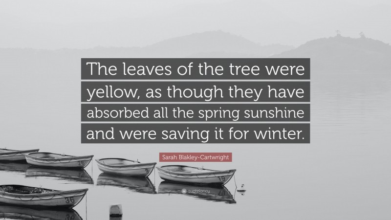 Sarah Blakley-Cartwright Quote: “The leaves of the tree were yellow, as though they have absorbed all the spring sunshine and were saving it for winter.”
