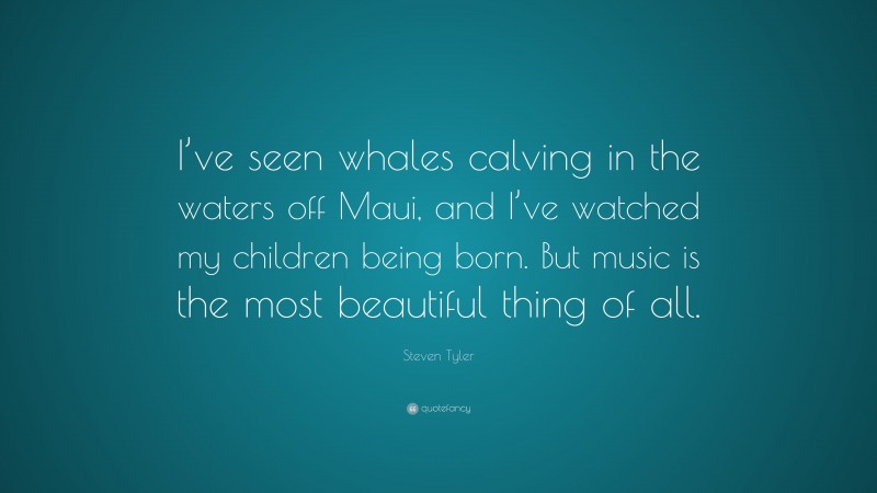 Steven Tyler Quote: “I’ve seen whales calving in the waters off Maui, and I’ve watched my children being born. But music is the most beautiful thing of all.”