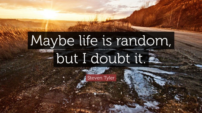 Steven Tyler Quote: “Maybe life is random, but I doubt it.”