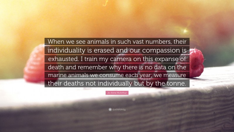 Jo-Anne McArthur Quote: “When we see animals in such vast numbers, their individuality is erased and our compassion is exhausted. I train my camera on this expanse of death and remember why there is no data on the marine animals we consume each year; we measure their deaths not individually but by the tonne.”