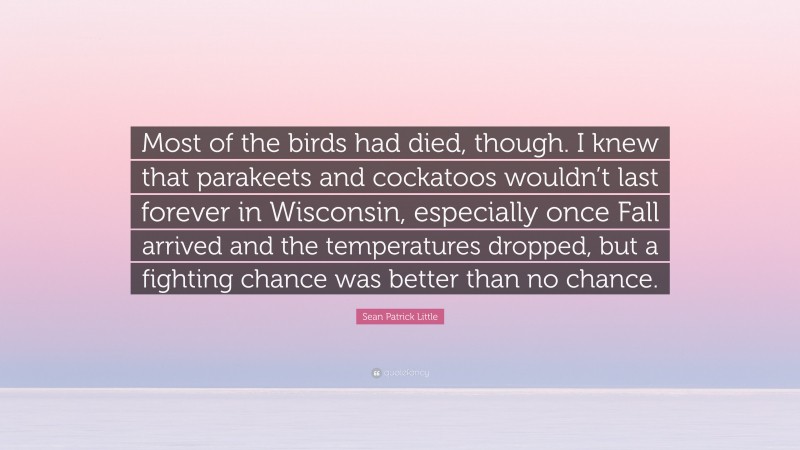 Sean Patrick Little Quote: “Most of the birds had died, though. I knew that parakeets and cockatoos wouldn’t last forever in Wisconsin, especially once Fall arrived and the temperatures dropped, but a fighting chance was better than no chance.”