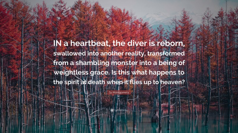 Sy Montgomery Quote: “IN a heartbeat, the diver is reborn, swallowed into another reality, transformed from a shambling monster into a being of weightless grace. Is this what happens to the spirit at death when it flies up to heaven?”