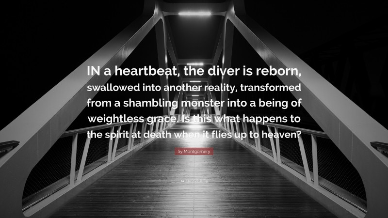 Sy Montgomery Quote: “IN a heartbeat, the diver is reborn, swallowed into another reality, transformed from a shambling monster into a being of weightless grace. Is this what happens to the spirit at death when it flies up to heaven?”
