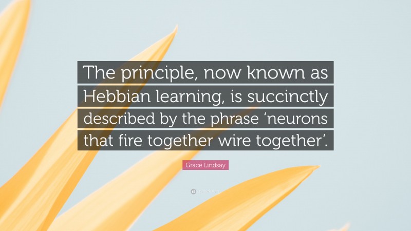 Grace Lindsay Quote: “The principle, now known as Hebbian learning, is succinctly described by the phrase ‘neurons that fire together wire together’.”