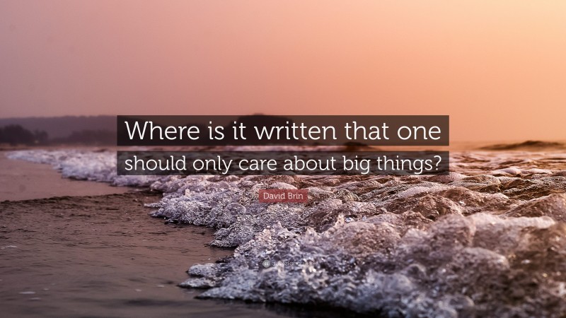 David Brin Quote: “Where is it written that one should only care about big things?”