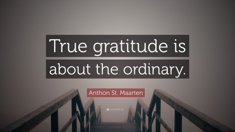 Anthon St. Maarten Quote: “True gratitude is about the ordinary.”