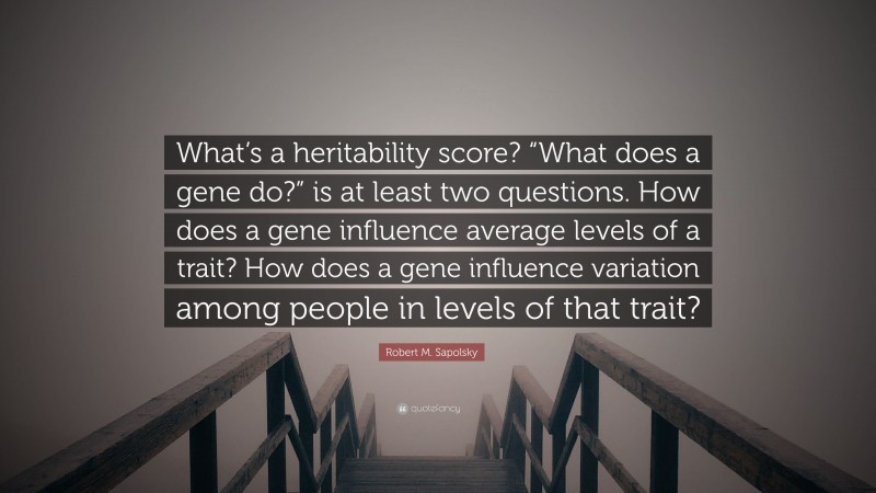 Robert M. Sapolsky Quote: “What’s a heritability score? “What does a gene do?” is at least two questions. How does a gene influence average levels of a trait? How does a gene influence variation among people in levels of that trait?”