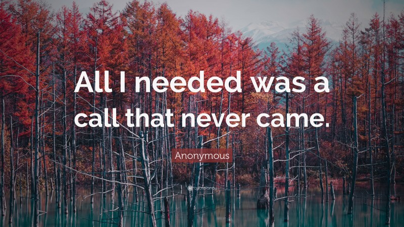 Anonymous Quote: “All I needed was a call that never came.”