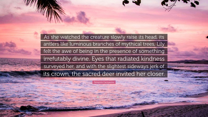 Panayotis Cacoyannis Quote: “As she watched the creature slowly raise its head, its antlers like luminous branches of mythical trees, Lily felt the awe of being in the presence of something irrefutably divine. Eyes that radiated kindness surveyed her, and with the slightest sideways jerk of its crown, the sacred deer invited her closer.”