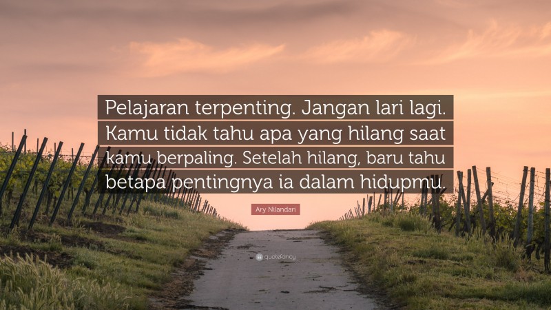 Ary Nilandari Quote: “Pelajaran terpenting. Jangan lari lagi. Kamu tidak tahu apa yang hilang saat kamu berpaling. Setelah hilang, baru tahu betapa pentingnya ia dalam hidupmu.”