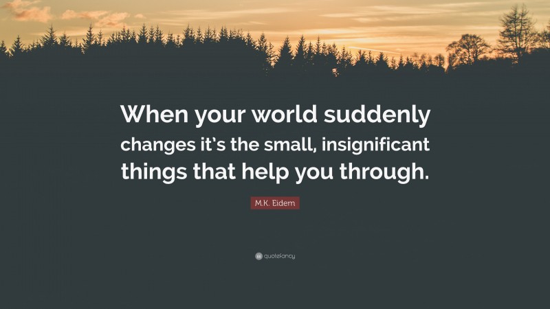 M.K. Eidem Quote: “When your world suddenly changes it’s the small, insignificant things that help you through.”