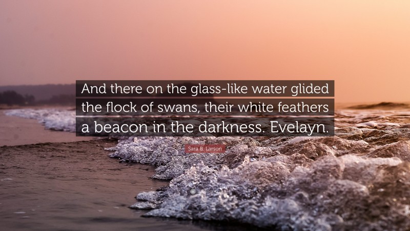 Sara B. Larson Quote: “And there on the glass-like water glided the flock of swans, their white feathers a beacon in the darkness. Evelayn.”
