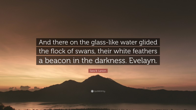 Sara B. Larson Quote: “And there on the glass-like water glided the flock of swans, their white feathers a beacon in the darkness. Evelayn.”