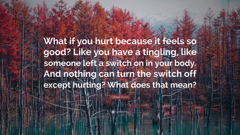 Gillian Flynn Quote: “What if you hurt because it feels so good? Like you have a tingling, like someone left a switch on in your body. And nothing can turn the switch off except hurting? What does that mean?”